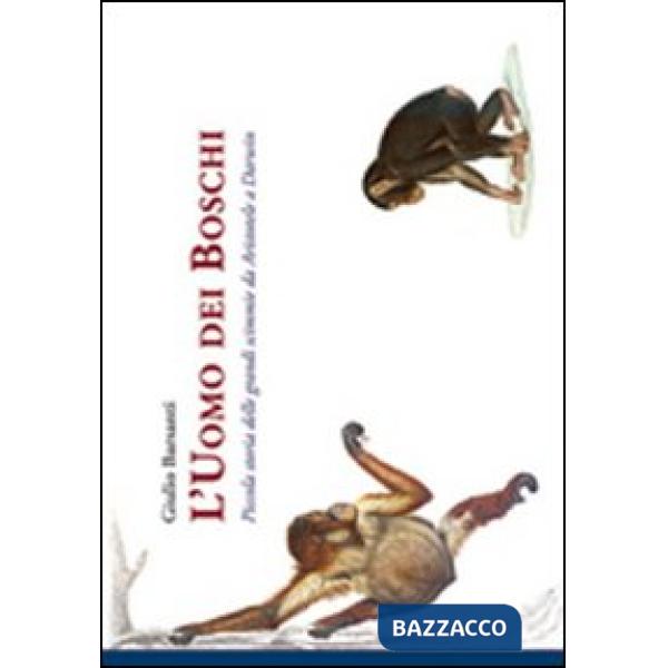 Uomo dei boschi. Piccola storia delle grandi scimmie da Aristotele a Darwin (L')