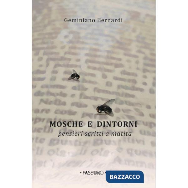 Mosche e dintorni. Pensieri scritti a matita