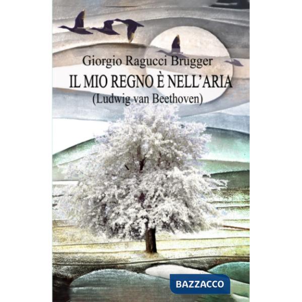 Mio regno è nell'aria. Ludwing van Beethoven (Il)