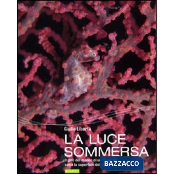 Luce sommersa. Il giro del mondo di un fotografo sotto la superficie del mare. Ediz. illustrata (La)