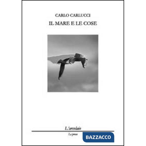 Mare e le cose (Il)