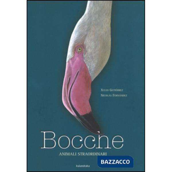 Bocche