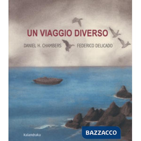 Viaggio diverso. Ediz. a colori (Un)