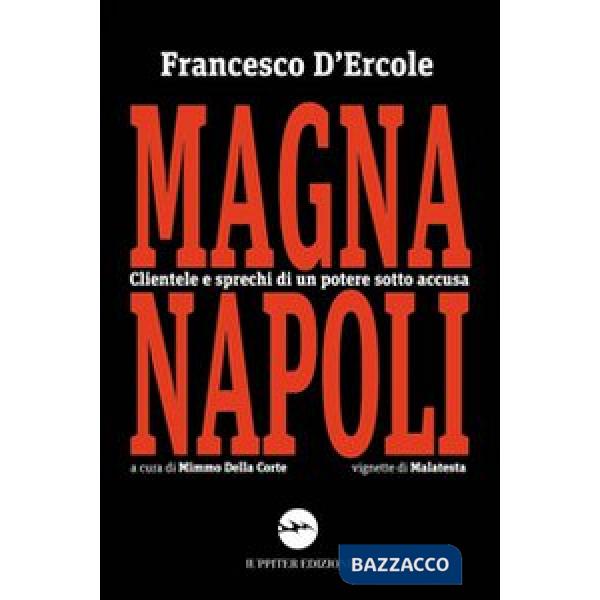 Magnanapoli. Clientele di un potere sotto accusa