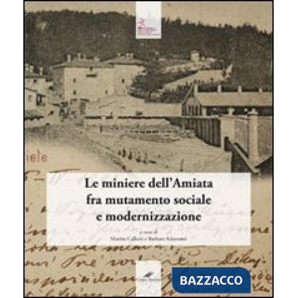 Diario dell'Ing. Vincenzo Spirek (1894-1907). Le miniere dell'Amiata fra mutamento sociale e modernizzazione (Il)