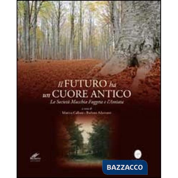 Futuro ha un cuore antico. La società Maggia Faggeta e l'Amiata (Il)