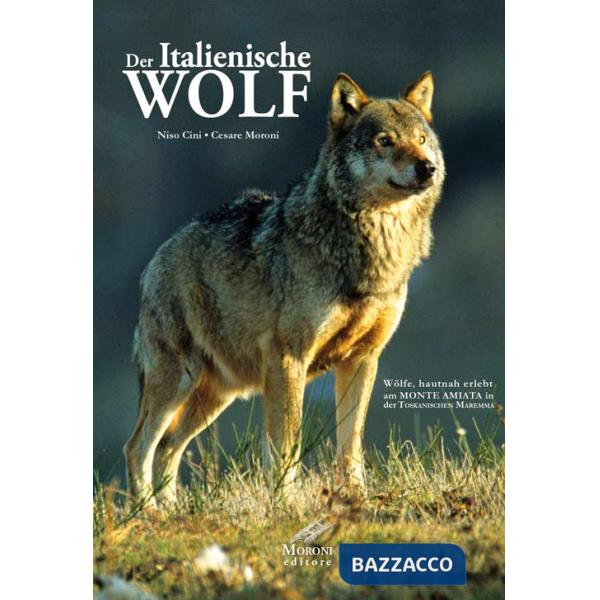 Italianische Wolf. Gelebte alltagsleben der apenninischen Wölfe am Monte Amiata in der Toskanischen Maremma (Der)