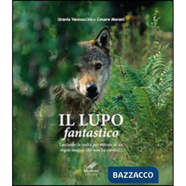 Lupo fantastico. Lasciamo la realtà per entrare in un regno magico che non ha confini (Il)