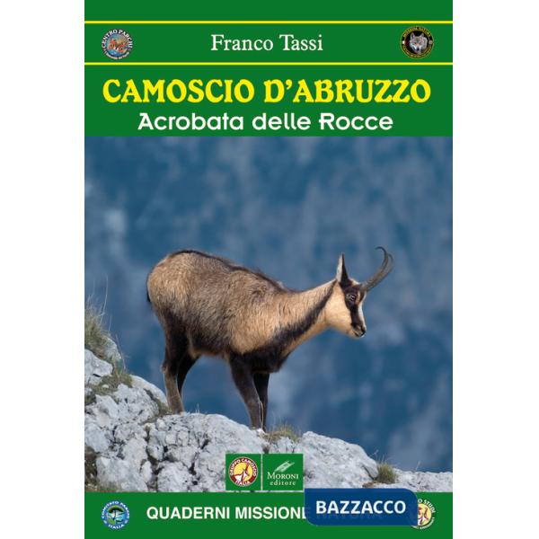 Camoscio d'Abruzzo. Acrobata delle rocce