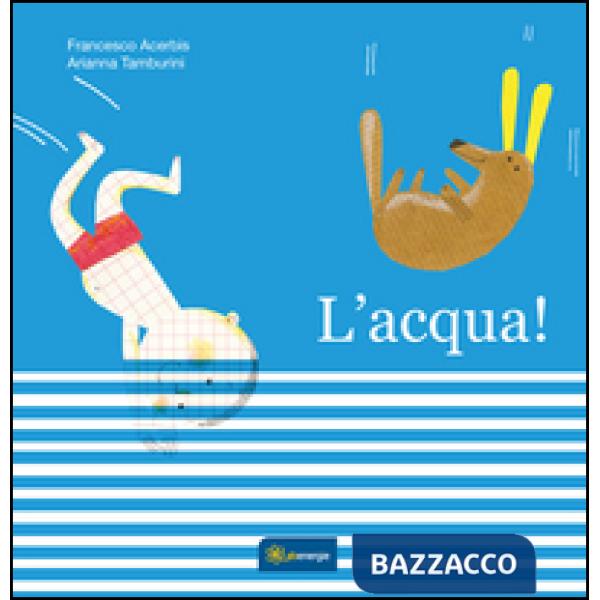 Acqua. Ediz. illustrata (L')