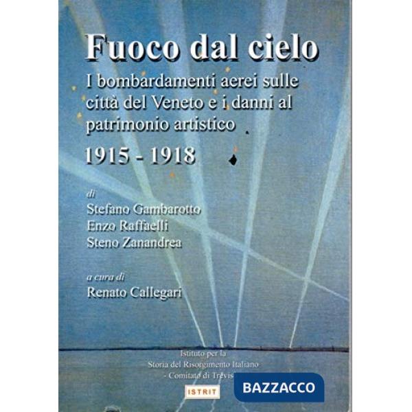 Fuoco dal cielo. I bombardamenti aerei sulle città del Veneto e i danni al patrimonio artistico (1915-1918)