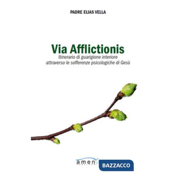 Via afflictionis. Itinerario di guarigione interiore attraverso le sofferenze ps