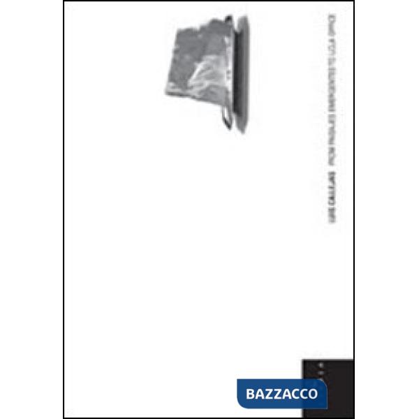 Luis Callejas. From paisajes emergentes to LCLA office. Ediz. italiana e inglese