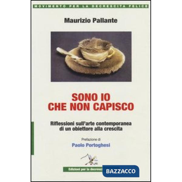 Sono io che non capisco. Riflessioni sull'arte contemporanea di un obiettore all