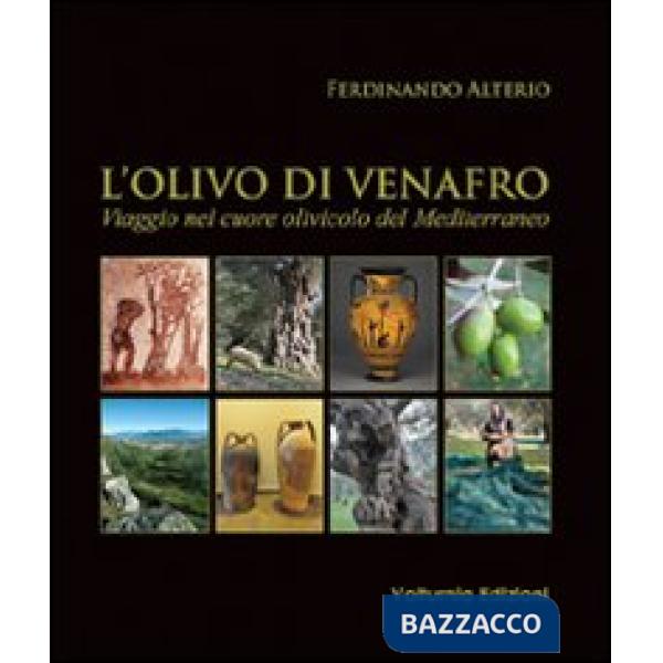 Olivo di Venafro. Viaggio nel cuore olivicolo del Mediterraneo (L')