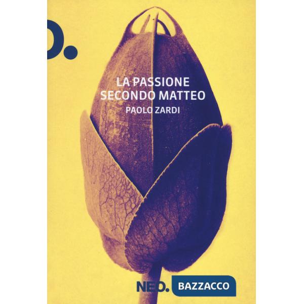 Passione secondo Matteo (La)