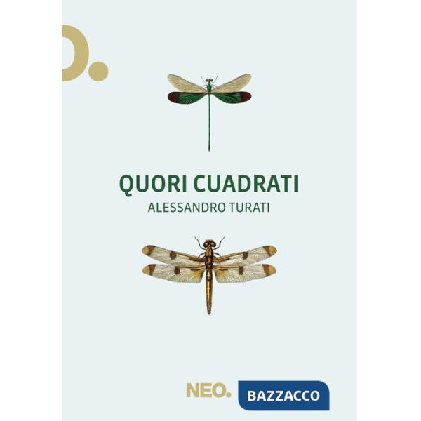 Quori cuadrati
