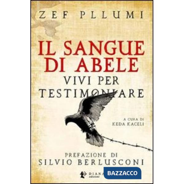 Sangue di Abele. Vivi per testimoniare (Il)