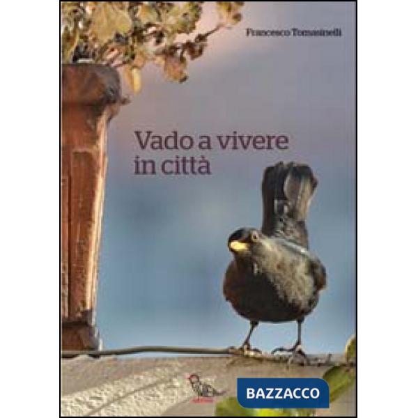 Vado a vivere in città