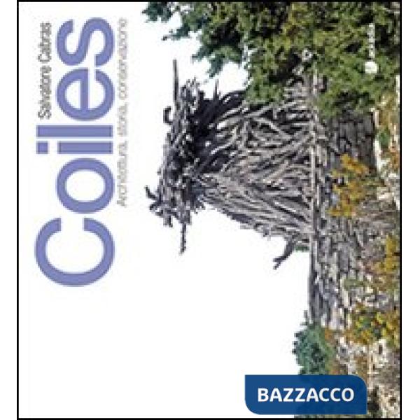 Coiles. Architettura, storia, coservazione