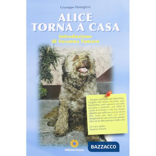 Alice torna a casa