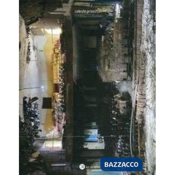 Celeste. Prize 2011. Ediz. illustrata