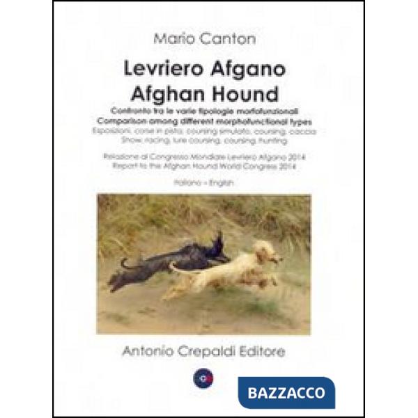 Levriero afgano. Confronto tra le varie tipologie morfofunzionali-Afghan hound. Comparison among different morphofuncional types