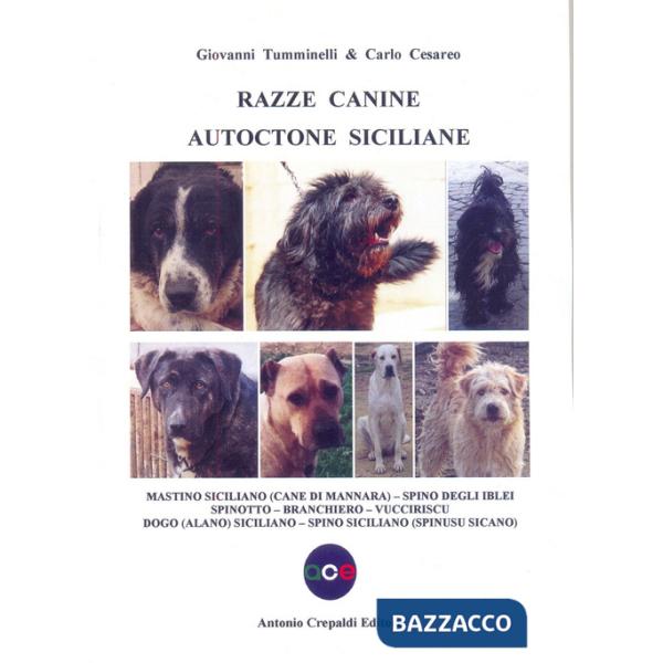 Razze canine autoctone siciliane. Mastino siciliano (Cane di Mannara). Spino degli Iblei. Spinotto. Branchiero. Vucciriscu. Dogo