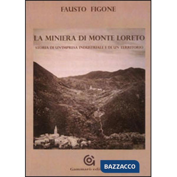 Miniera di Monte Loreto. Storia di un'impresa industriale e di un un territorio (La)