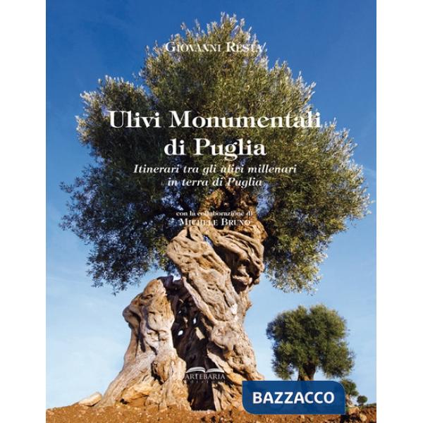 Ulivi monumentali di Puglia. Itinerari tra gli ulivi millenari in terra di Puglia. Ediz. a colori