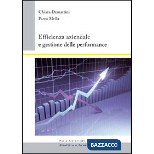 Efficienza aziendale e gestione delle performance