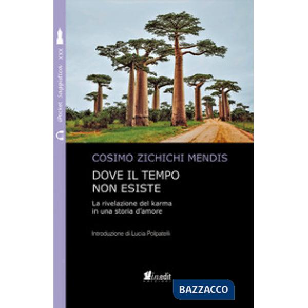 Dove il tempo non esiste. La rivelazione del karma in una storia d'amore. Nuova ediz.