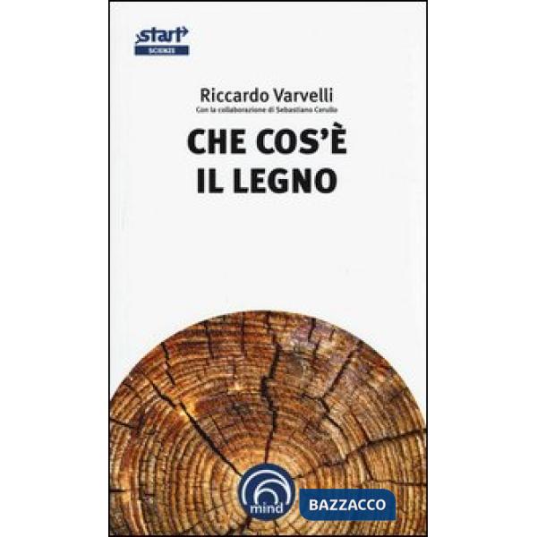 Che cos'è il legno