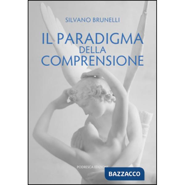 Paradigma della comprensione (Il)
