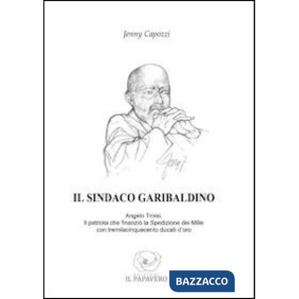 Sindaco garibaldino. Angelo Troisi, il patriota che finanziò la spedizione dei M