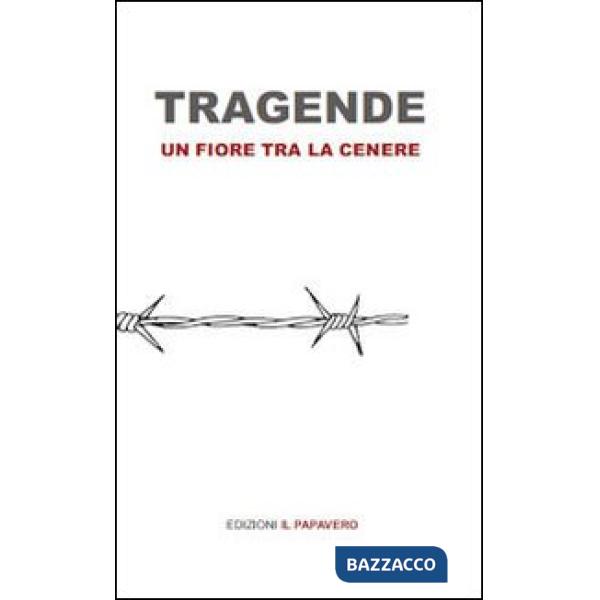 Tragende. Un fiore tra la cenere