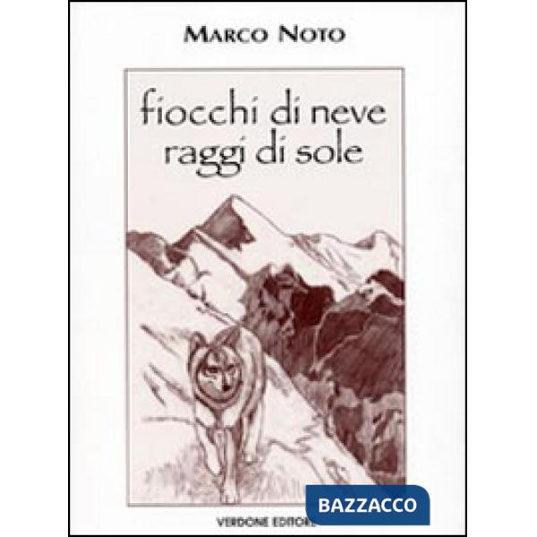 Fiocchi di neve raggi di sole