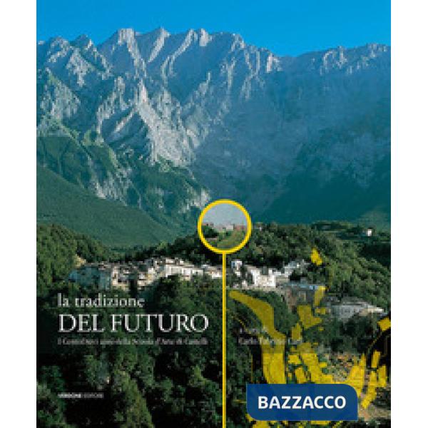 Tradizione del futuro. I centodieci anni della Scuola d'Arte di Castelli. Ediz. illustrata (La)