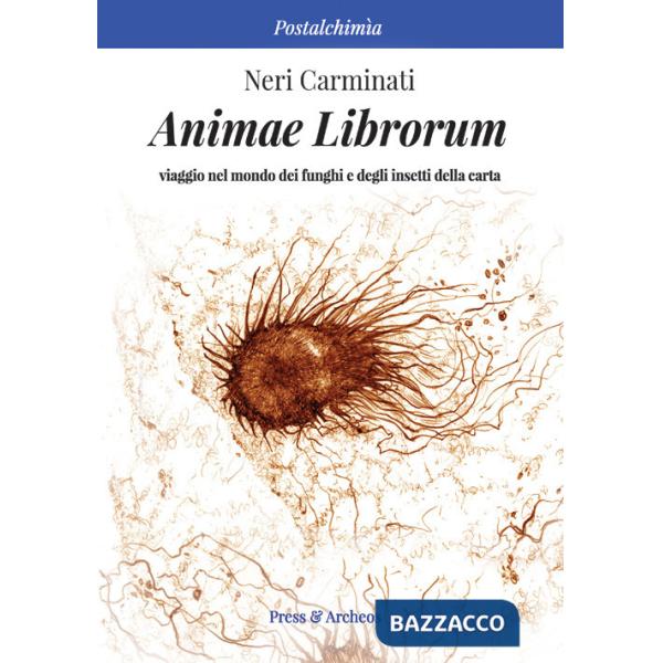 Animae librorum. Viaggio nel mondo dei funghi e degli insetti della carta