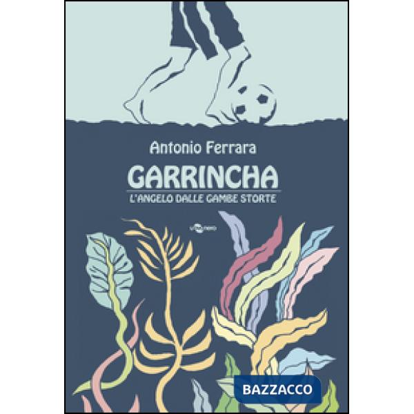 Garrincha. L'angelo dalle gambe storte