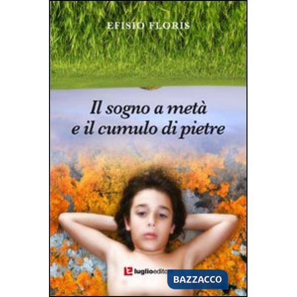 Sogno a metà e il cumulo di pietre (Il)