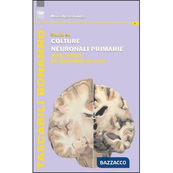 Studio su colture neuronali primarie degli effetti dei monomeri (1-42)