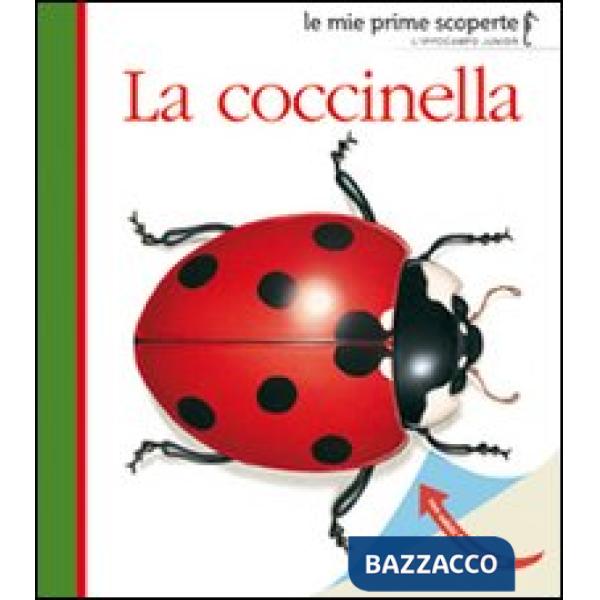 Coccinella. Ediz. illustrata (La)