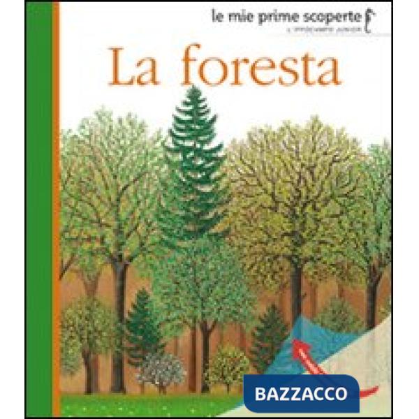 Foresta. Ediz. illustrata (La)