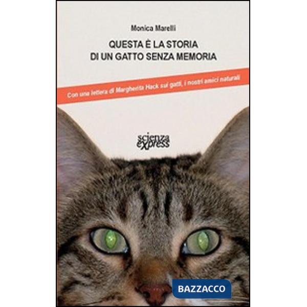 Questa è la storia di un gatto senza memoria