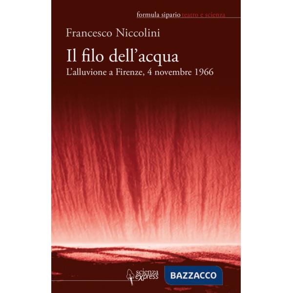 Filo dell'acqua. L'alluvione a Firenze, 4 novembre 1966 (Il)