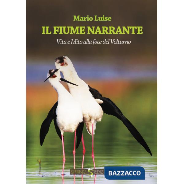 Fiume narrante (Il)