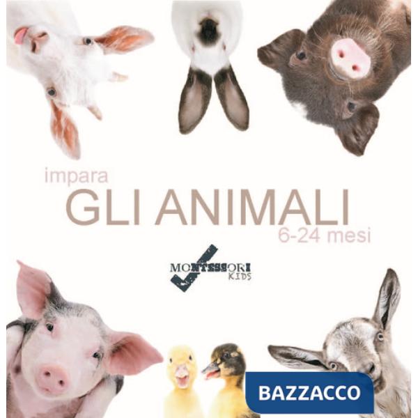 Impara gli animali. Ediz. illustrata