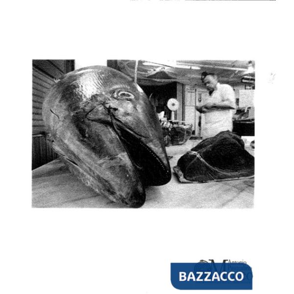 Mercati storici di Palermo. Ediz. illustrata (I)