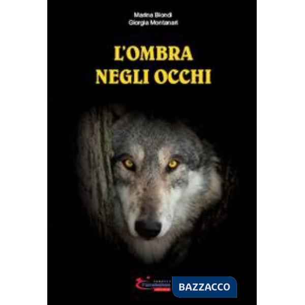Ombra negli occhi (L')